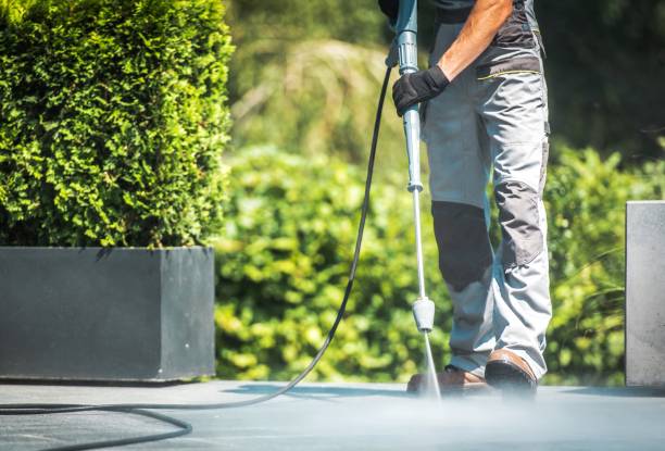 Best Dumpster Area Cleaning  in New Carlisle, IN